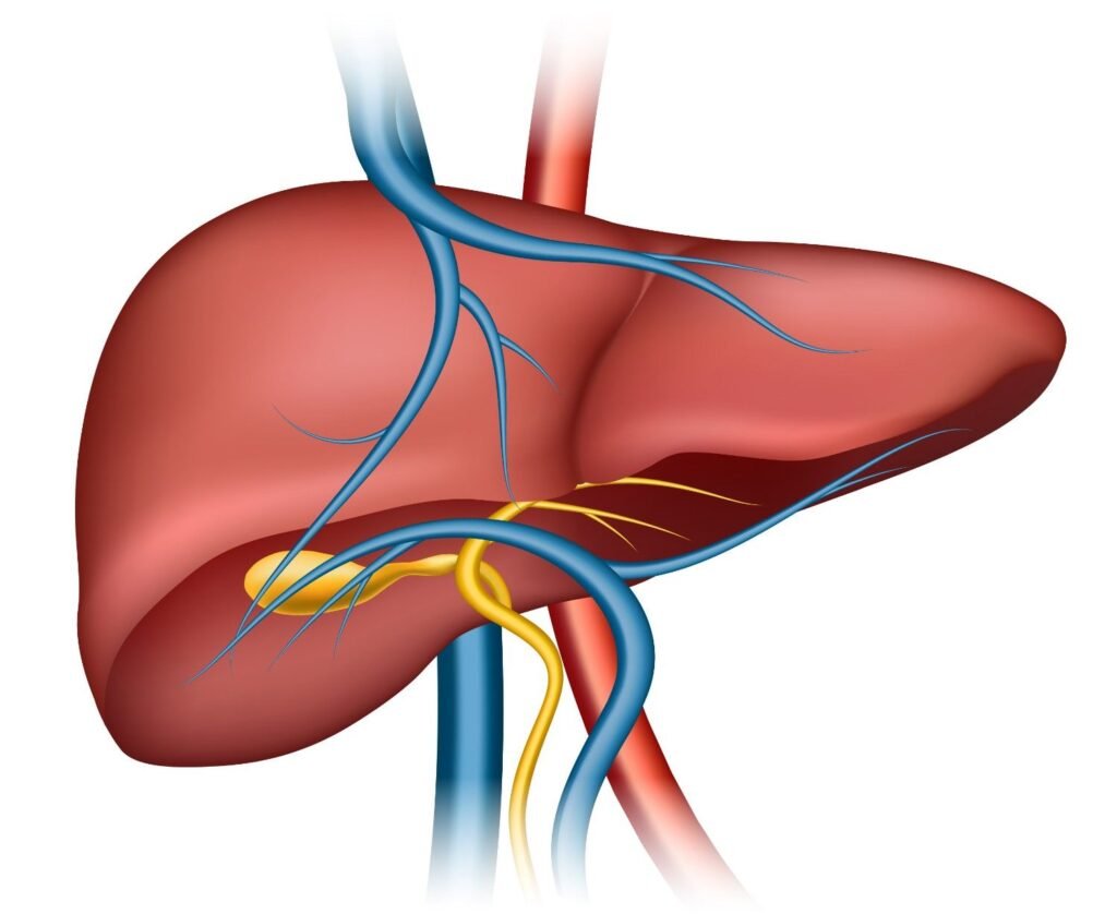 Best Doctor for Liver Disease Treatment in Pitampura