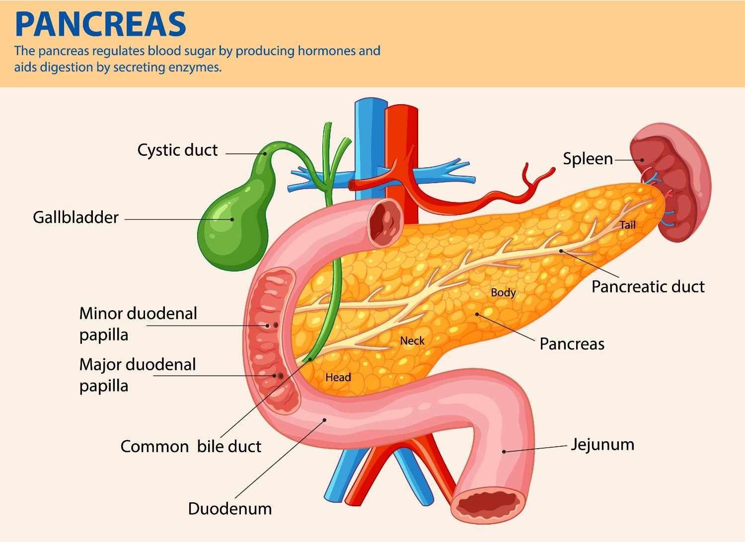 Best Acute Pancreatitis Treatment Doctor in Rohini